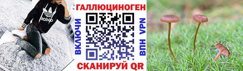 Галлюциногенные грибы Psilocybine cubensis  даркнет сайт  Почеп 